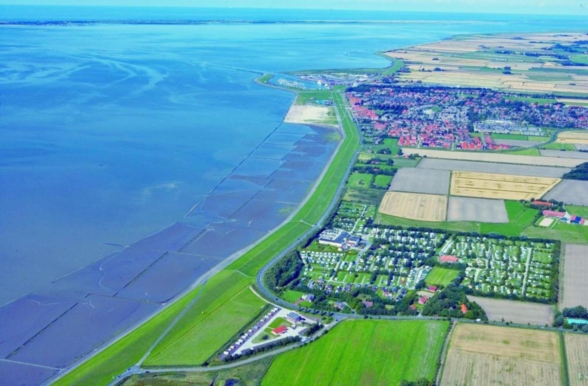 Kleine Nordseewelle Ohne Hund Norden Exterior photo